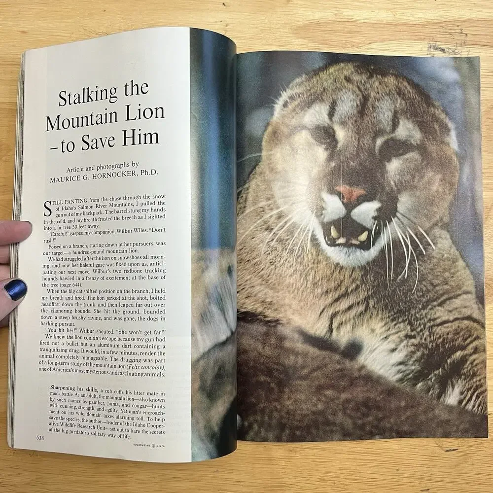 Vtg National Geographic November 1969 Magazine San Francisco Bay Bali Seminoles
